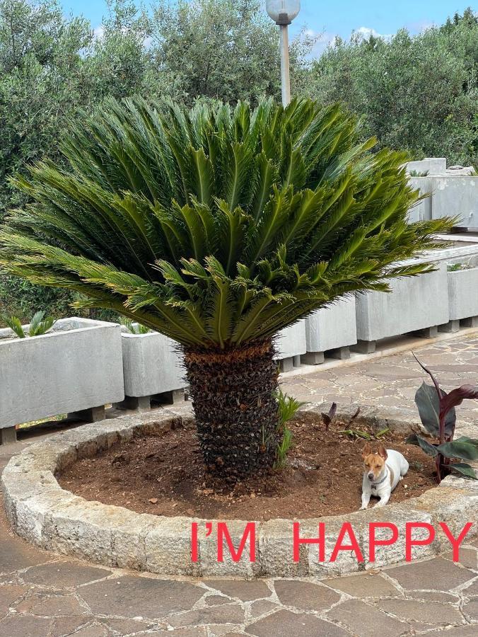 Отель Happy'S Casa Путиньяно Экстерьер фото